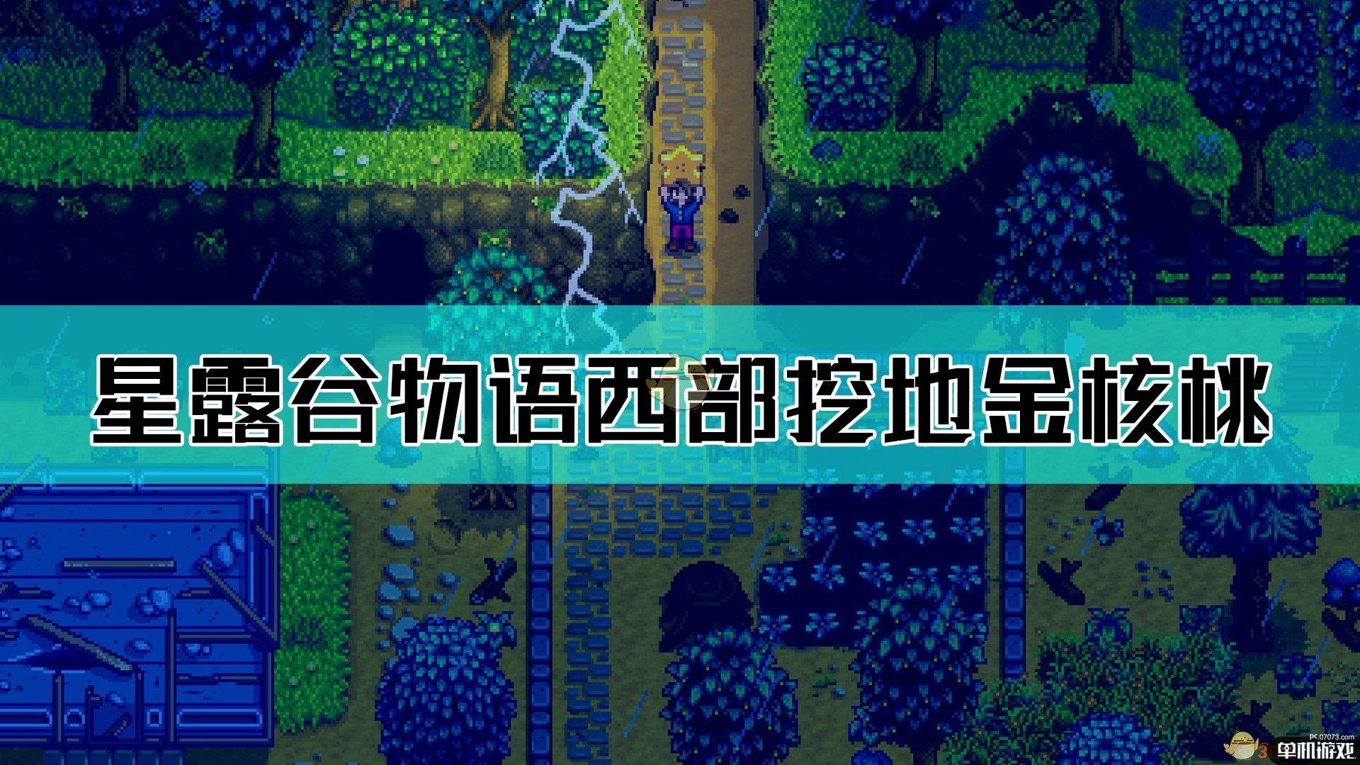《星露谷物语》西部锄头挖地金核桃位置介绍