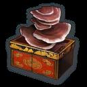 游侠网5