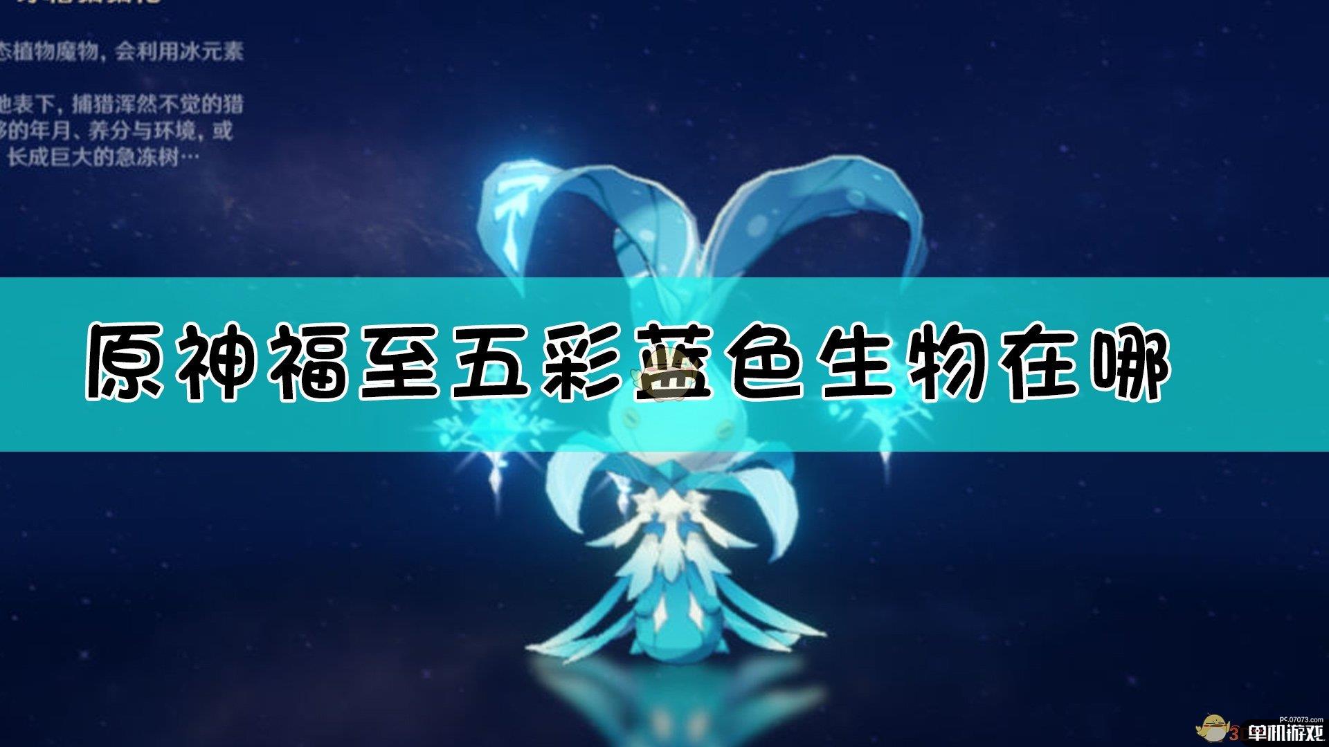 《原神》福至五彩第二天拍摄对象介绍