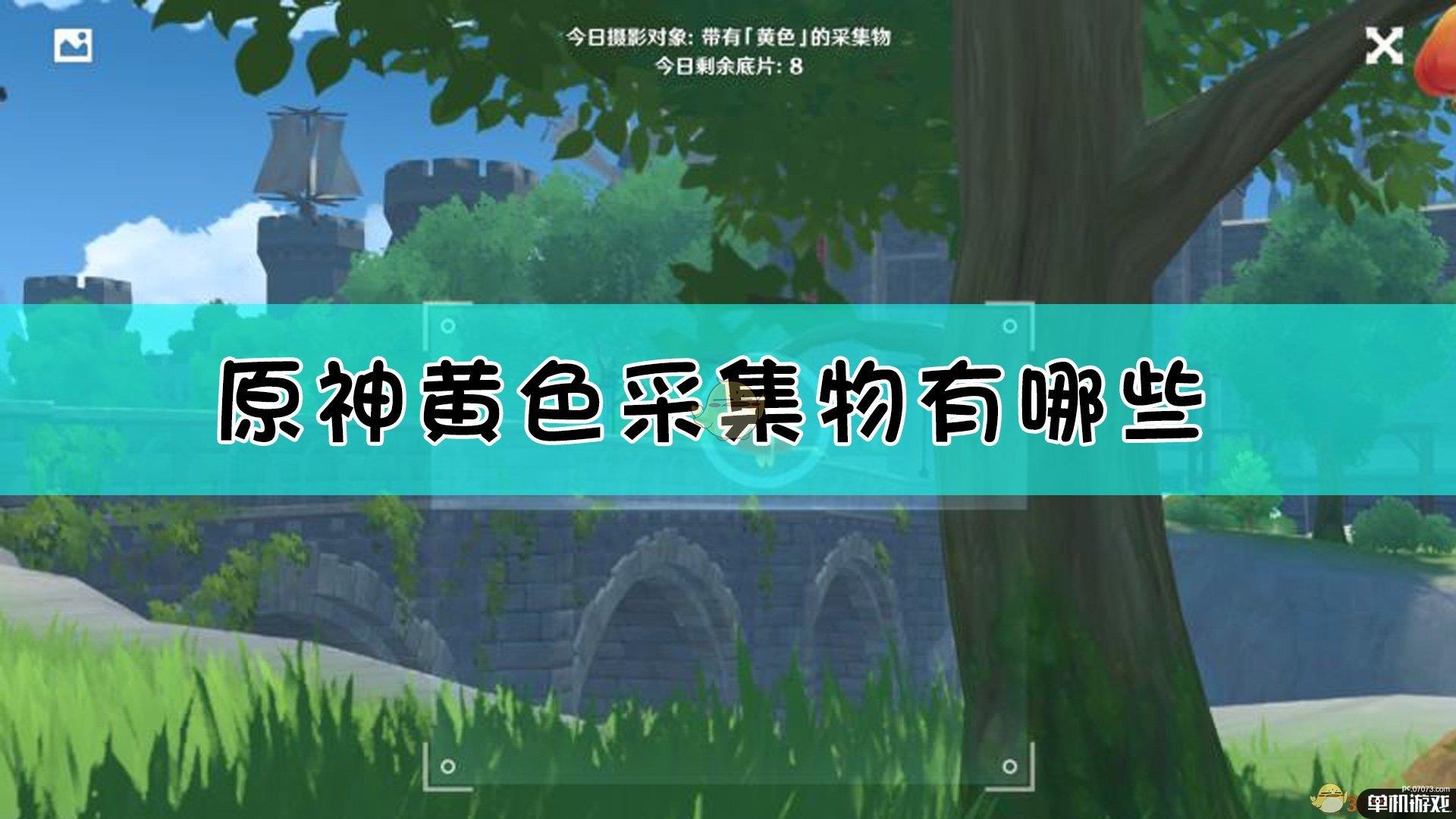 《原神》黄色采集物拍摄指南