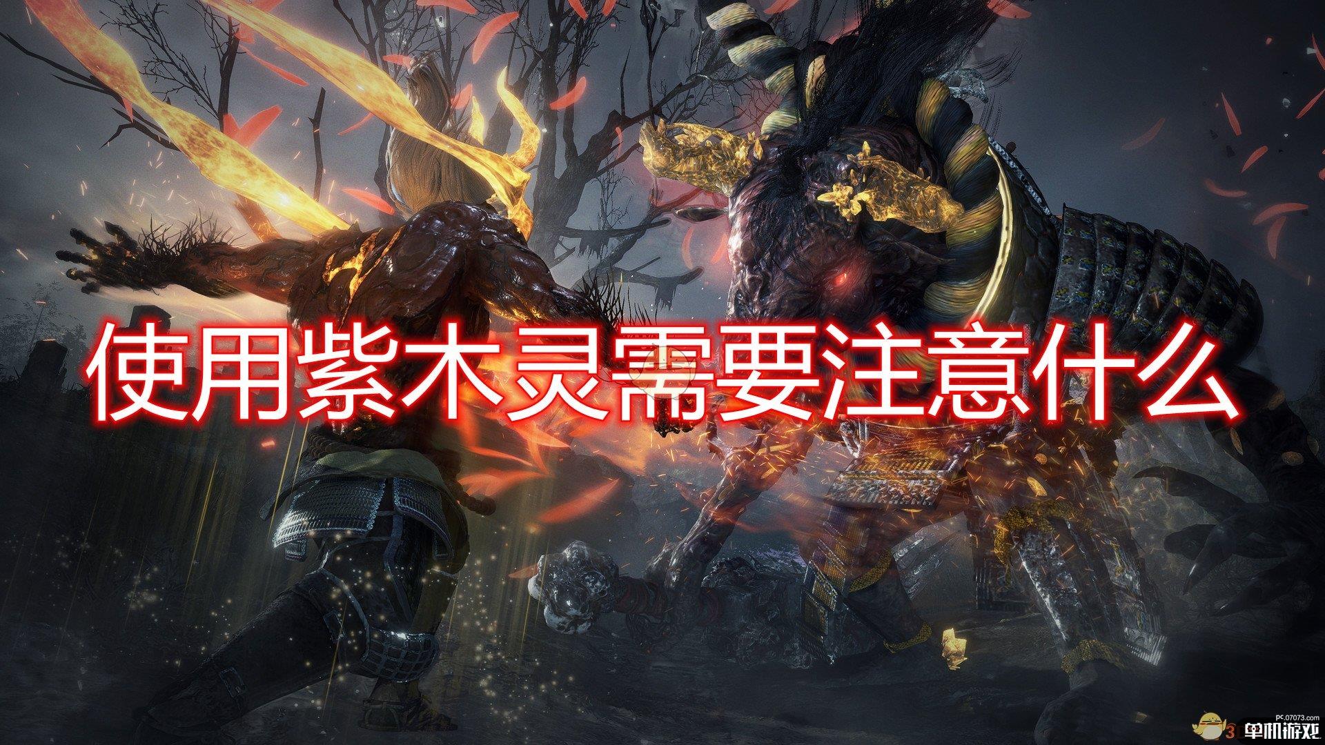 《仁王2》紫木灵使用注意事项分享