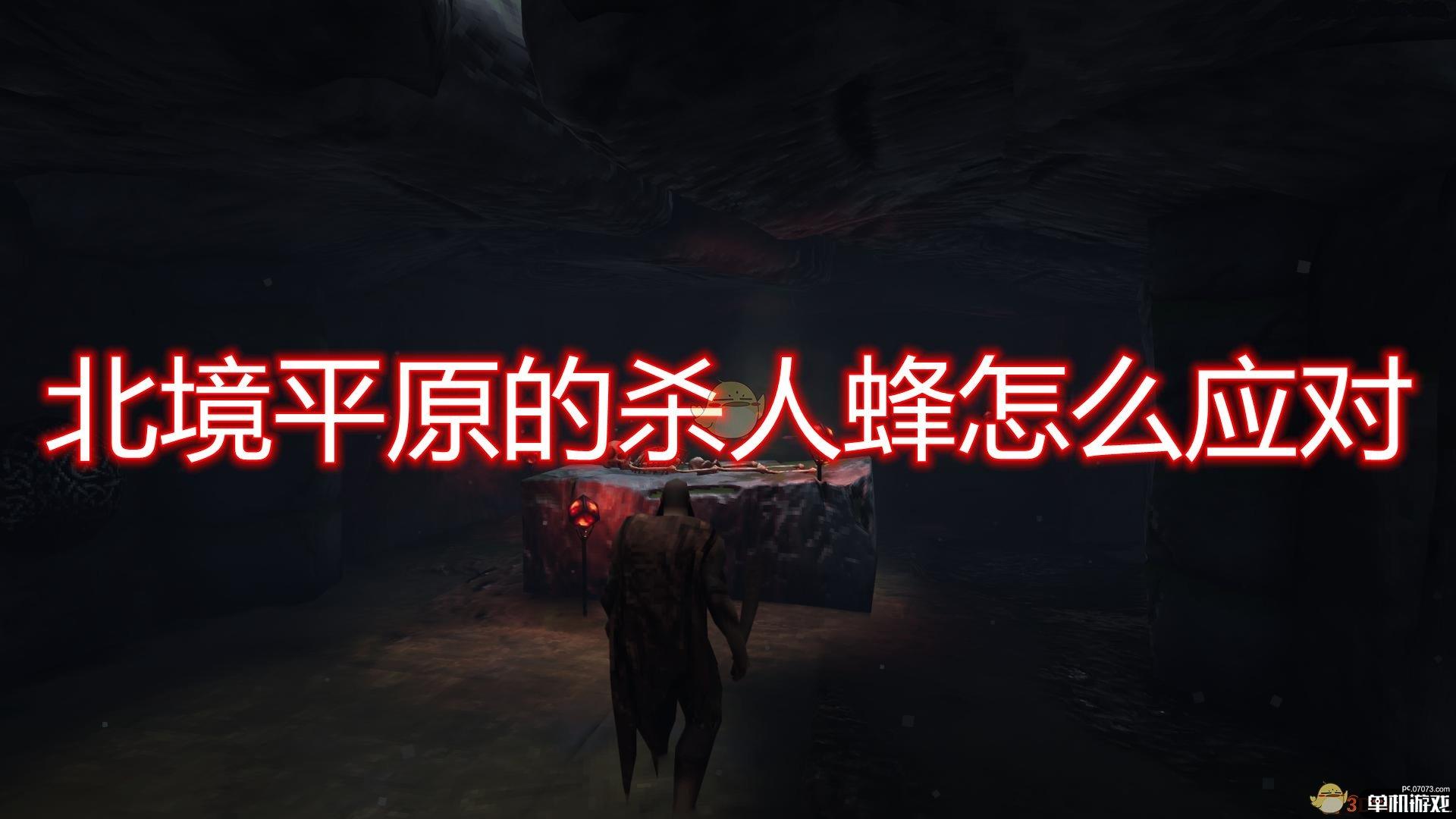 《Valheim：英灵神殿》北境平原杀人蜂应对方法介绍