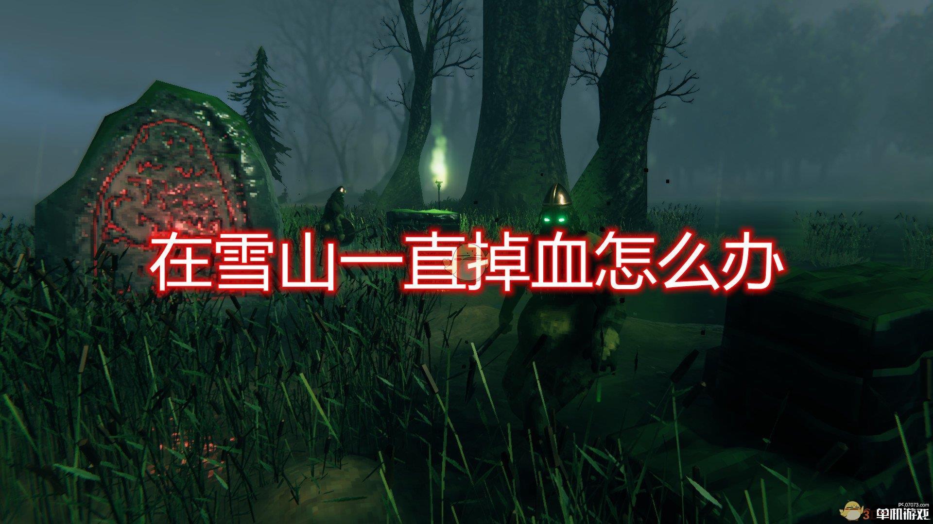 《Valheim：英灵神殿》雪山太冷一直掉血解决方法介绍