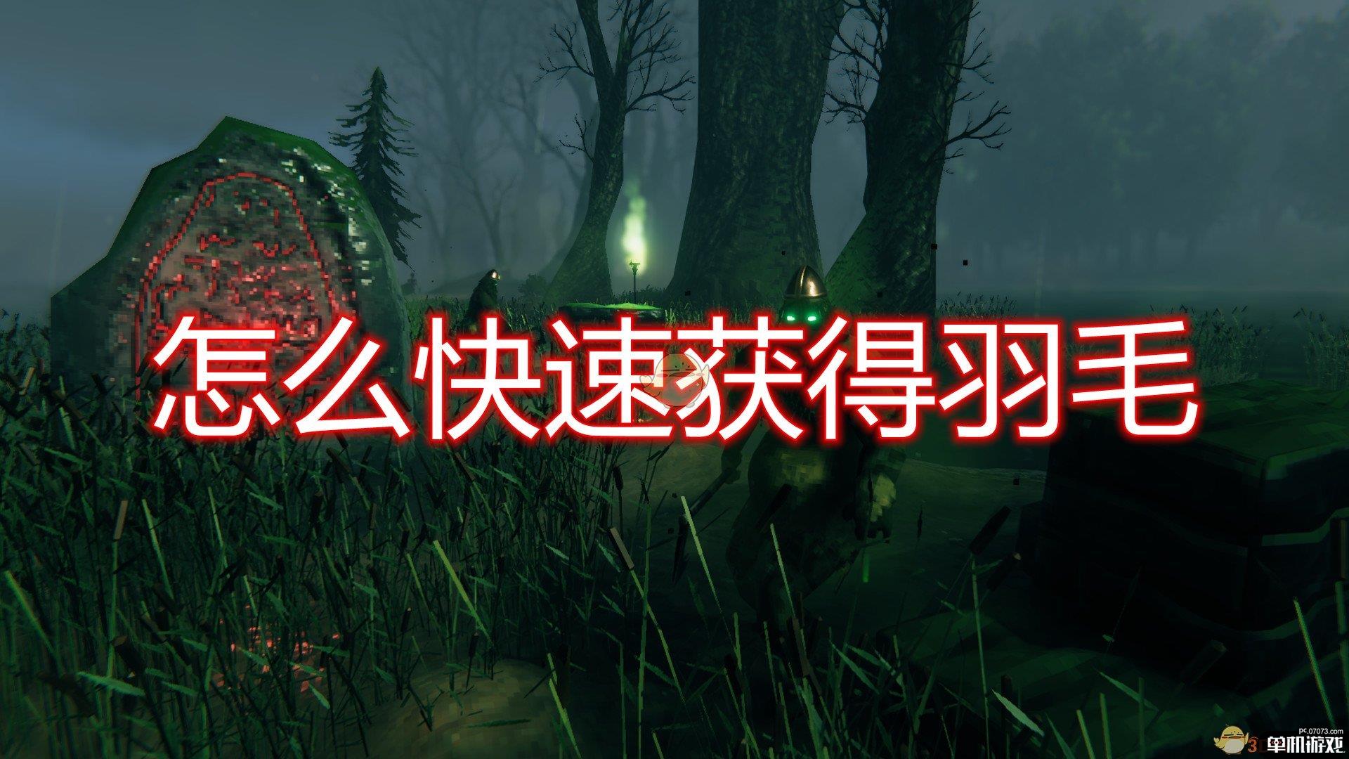 《Valheim：英灵神殿》快速获得羽毛方法介绍