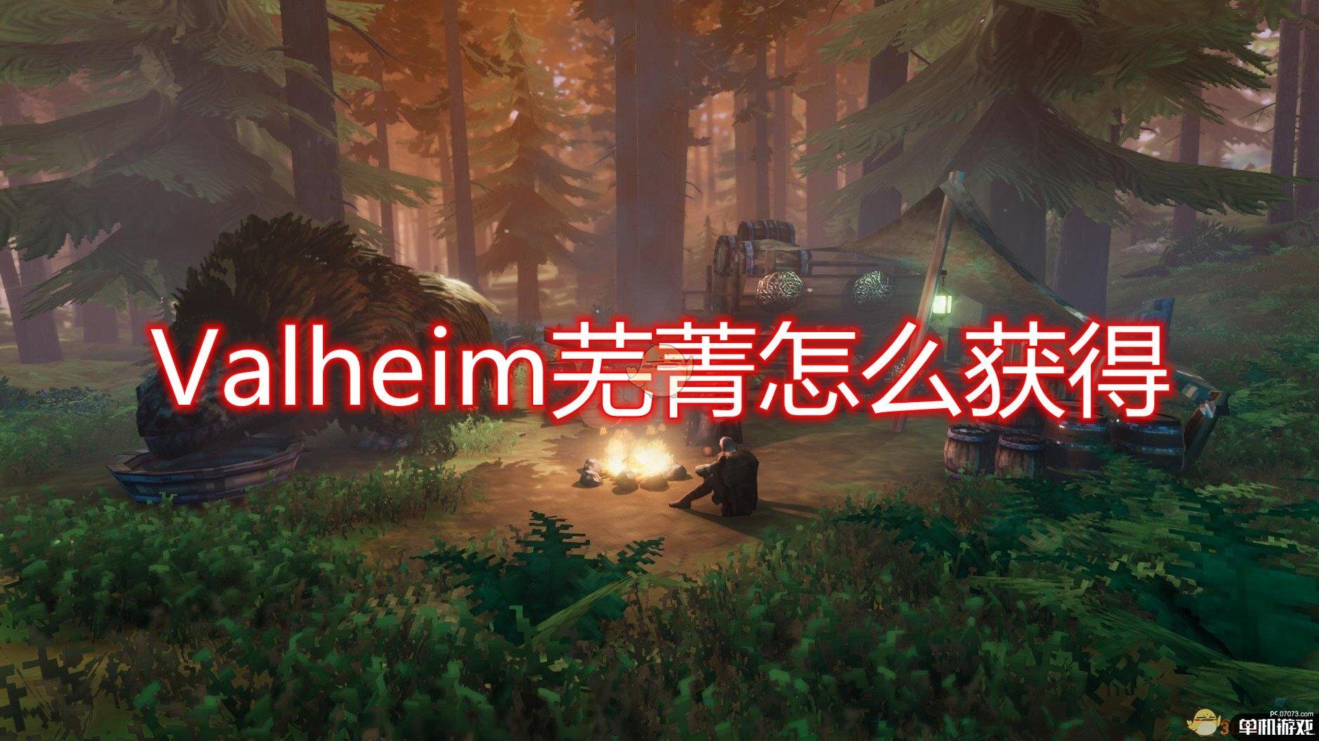 《Valheim：英灵神殿》芜菁获得方法介绍