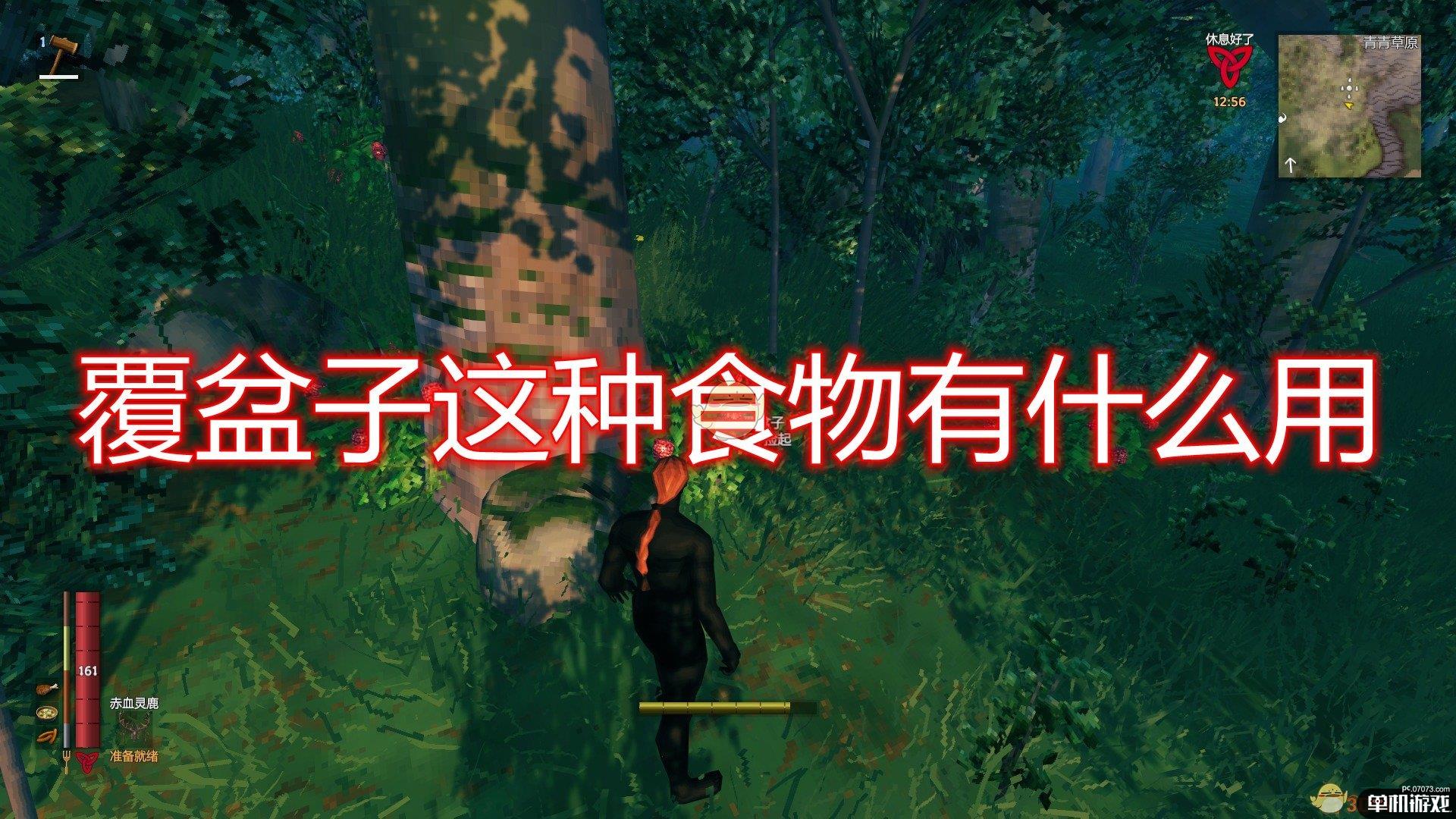 《Valheim：英灵神殿》覆盆子食物介绍