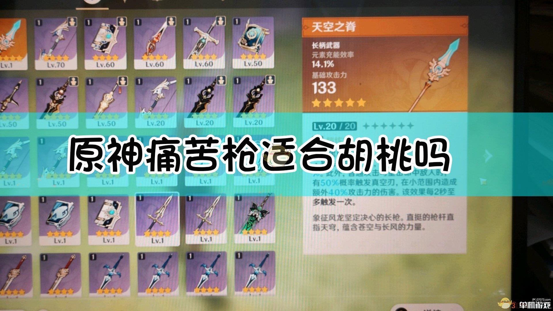 原神痛苦枪适合胡桃吗