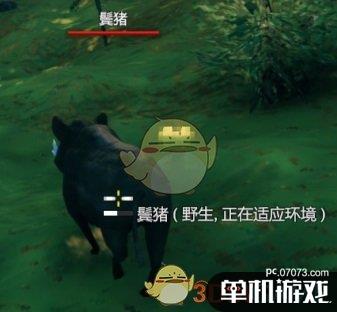 《Valheim：英灵神殿》超详细养猪指南