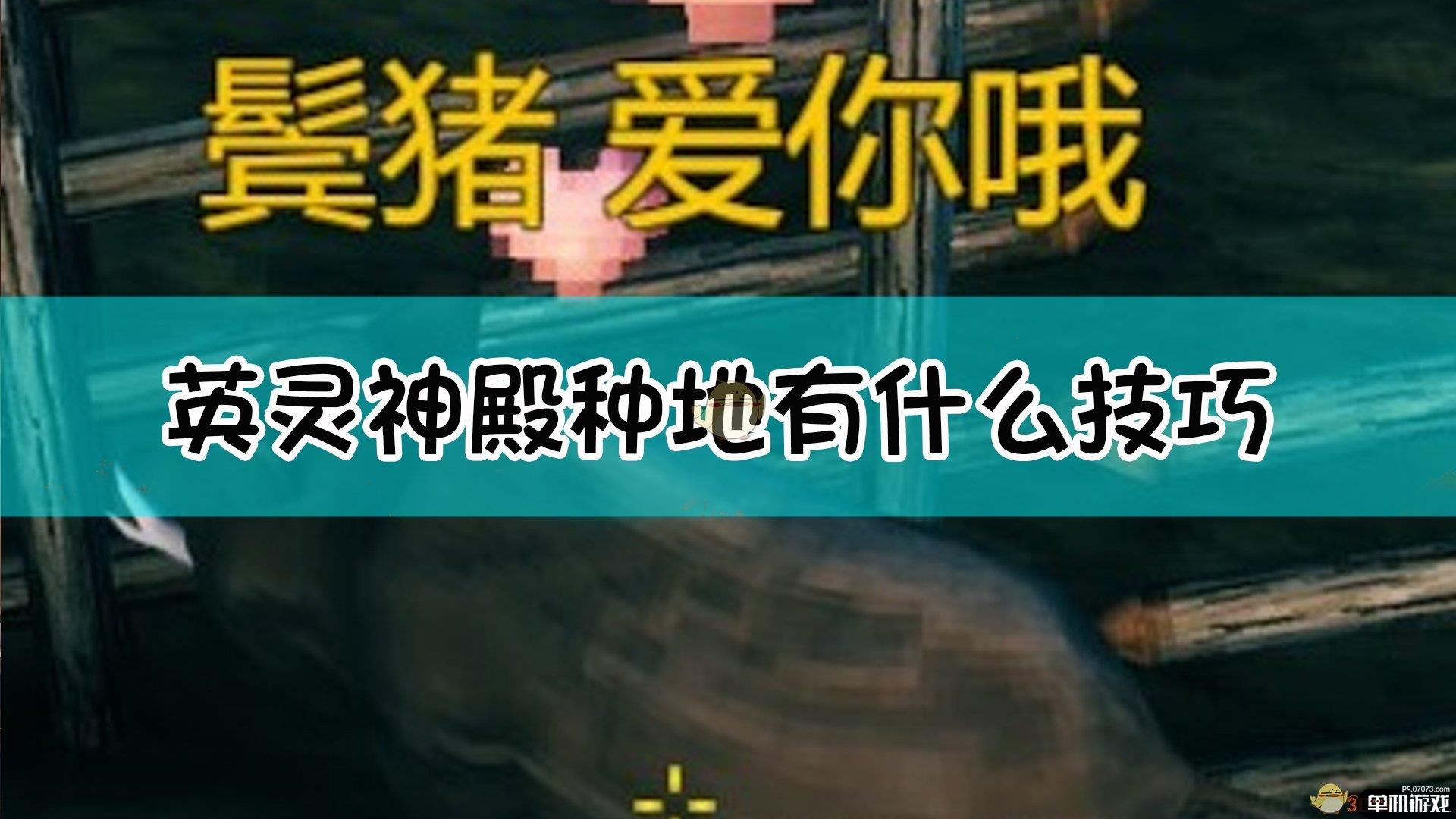 《Valheim：英灵神殿》超详细养猪指南