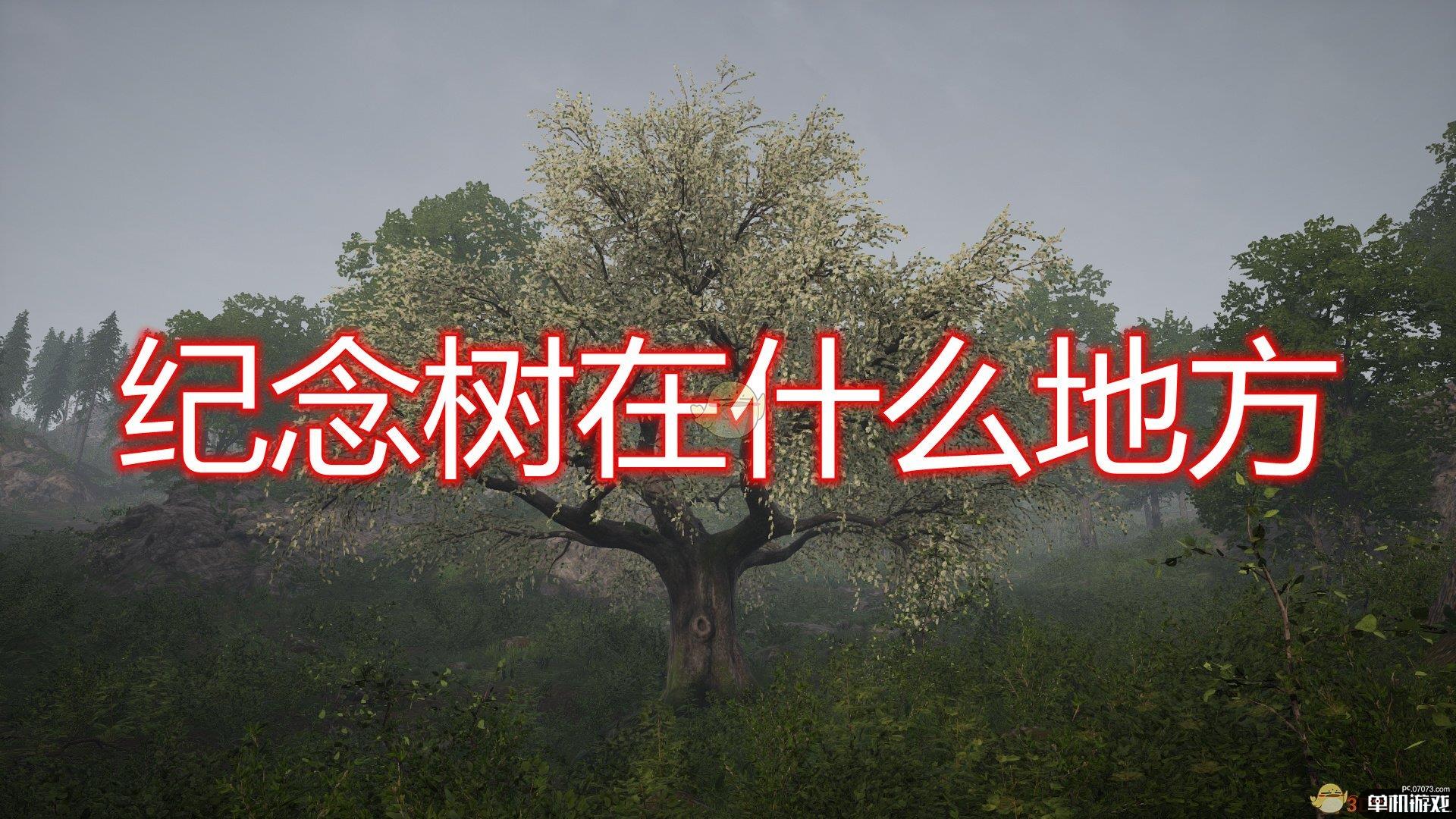 《中世纪王朝》新版本纪念树位置分享