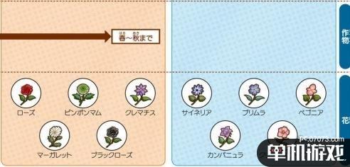 游侠网5
