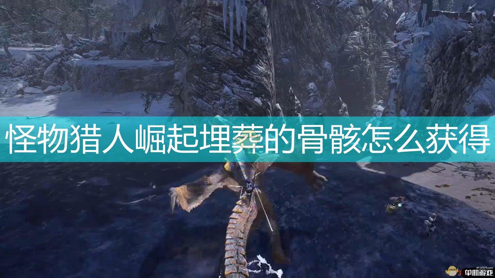 《怪物猎人：崛起》埋葬的骨骸获取位置分享