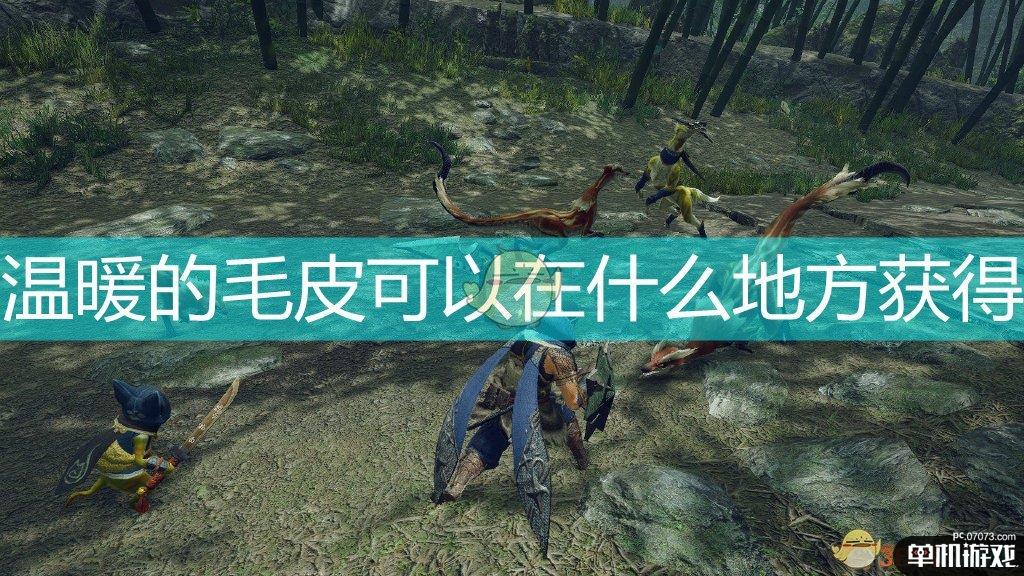 《怪物猎人：崛起》温暖的毛皮获取位置分享