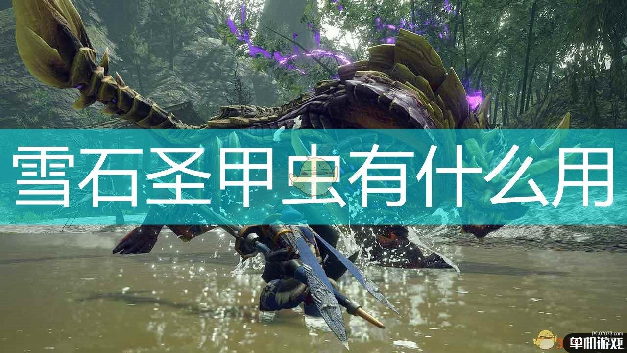《怪物猎人：崛起》雪石圣甲虫作用效果介绍