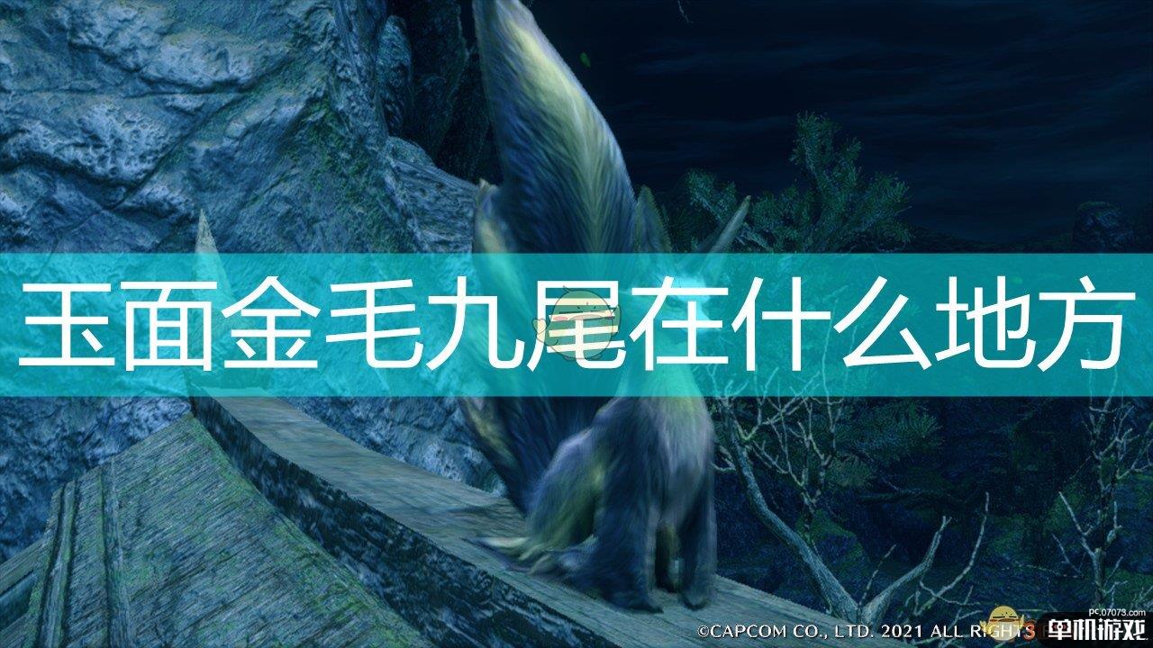 《怪物猎人：崛起》玉面金毛九尾出现位置分享