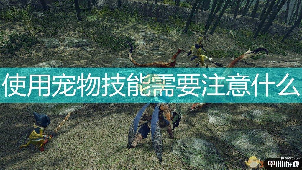 《怪物猎人：崛起》宠物技能使用注意事项分享
