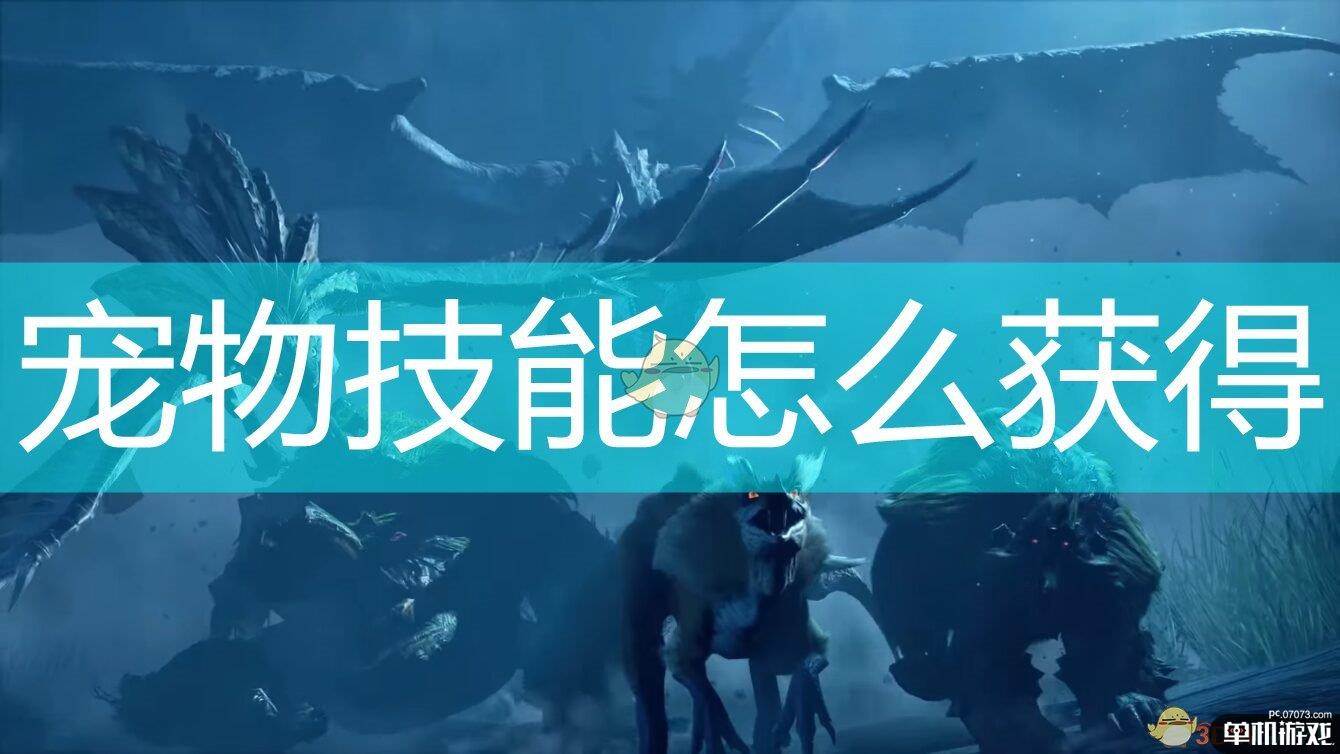 《怪物猎人：崛起》宠物技能学习方法介绍