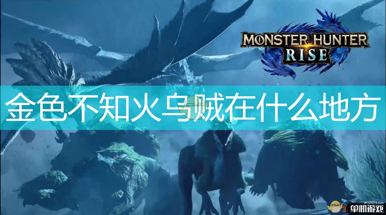 《怪物猎人：崛起》金色不知火乌贼位置介绍