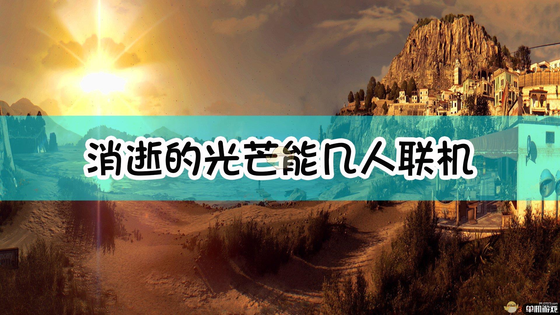 消逝的光芒能几人联机