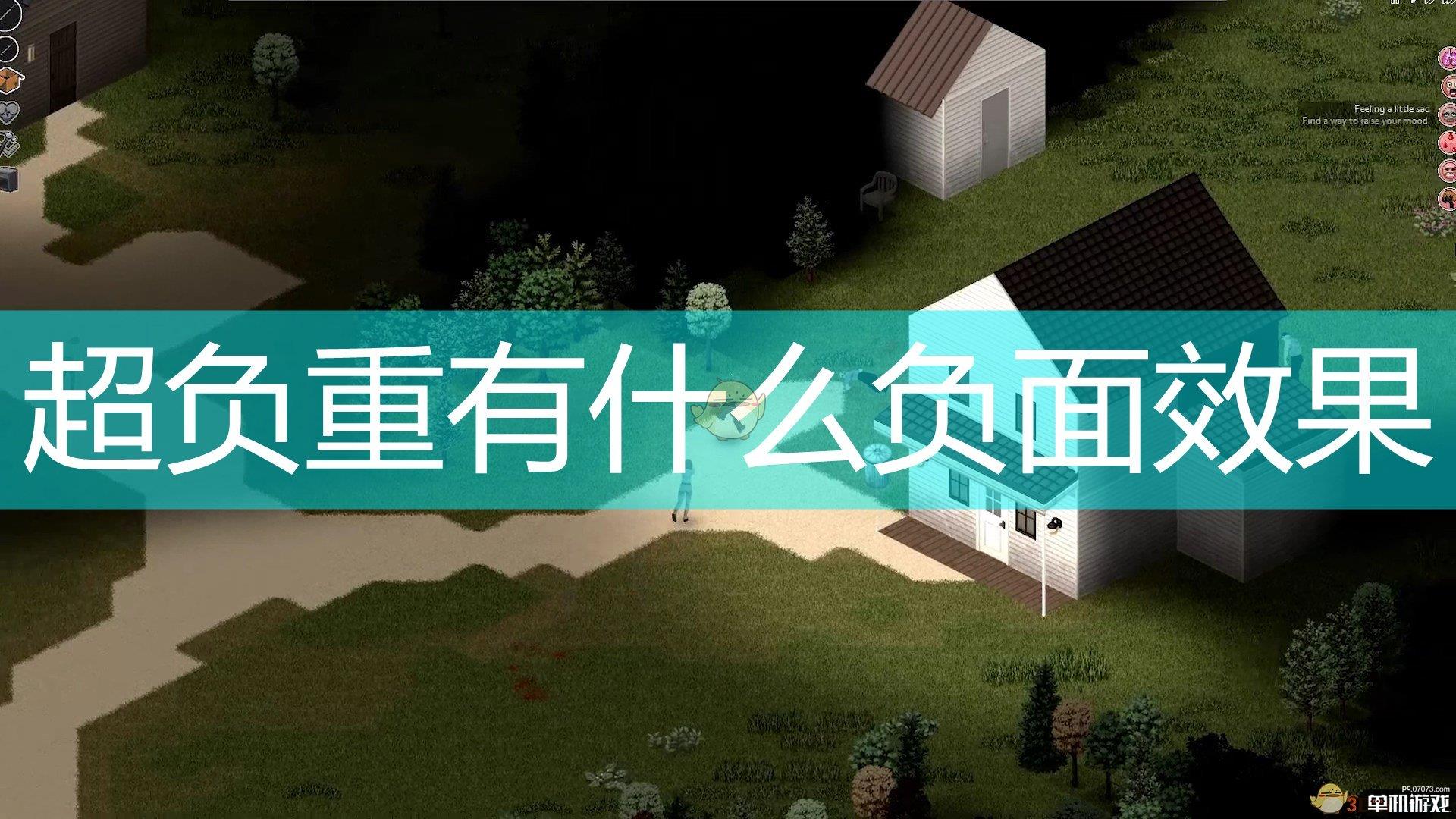 《僵尸毁灭工程》超负重后果介绍