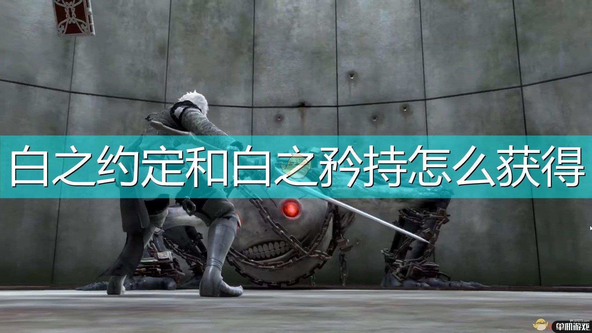 《尼尔：伪装者》白之约定及白之矜持获得方法及升级素材介绍