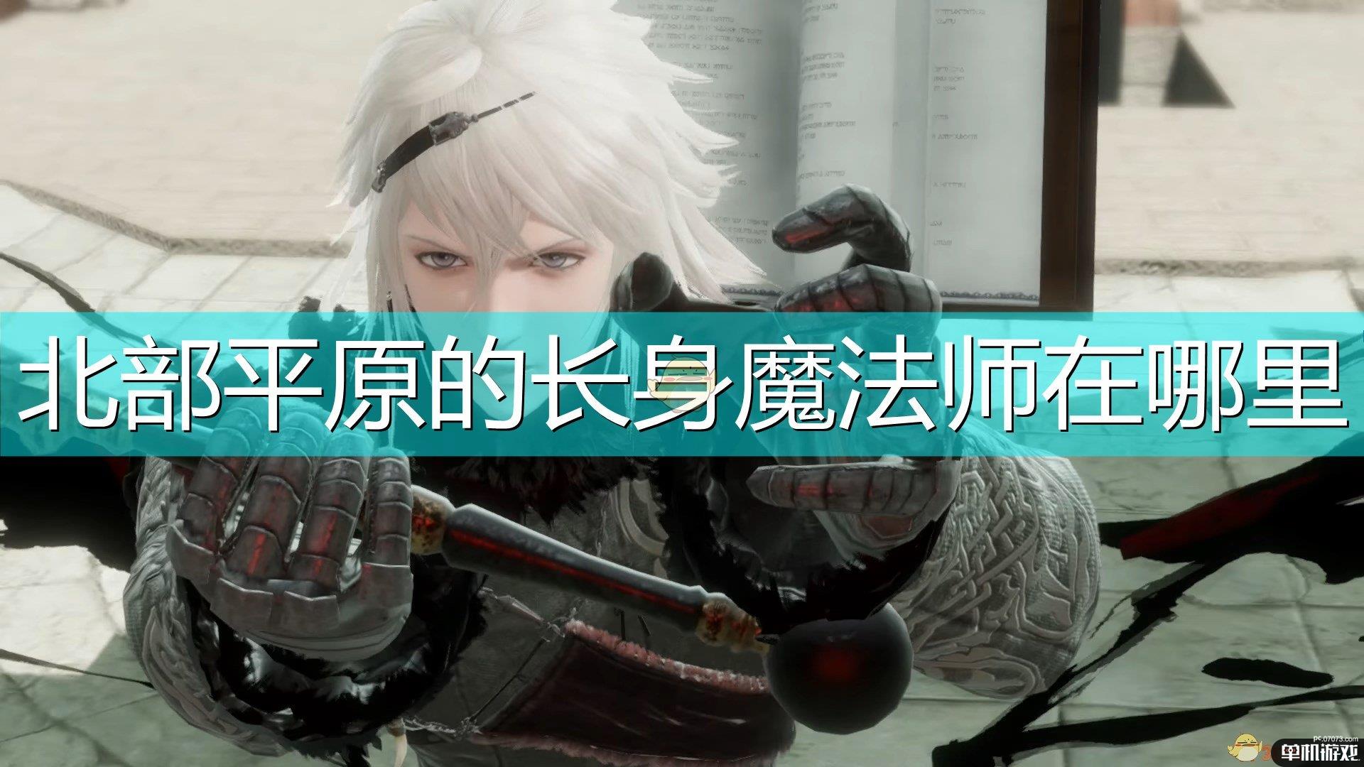《尼尔：伪装者》北部平原长身魔法师位置介绍