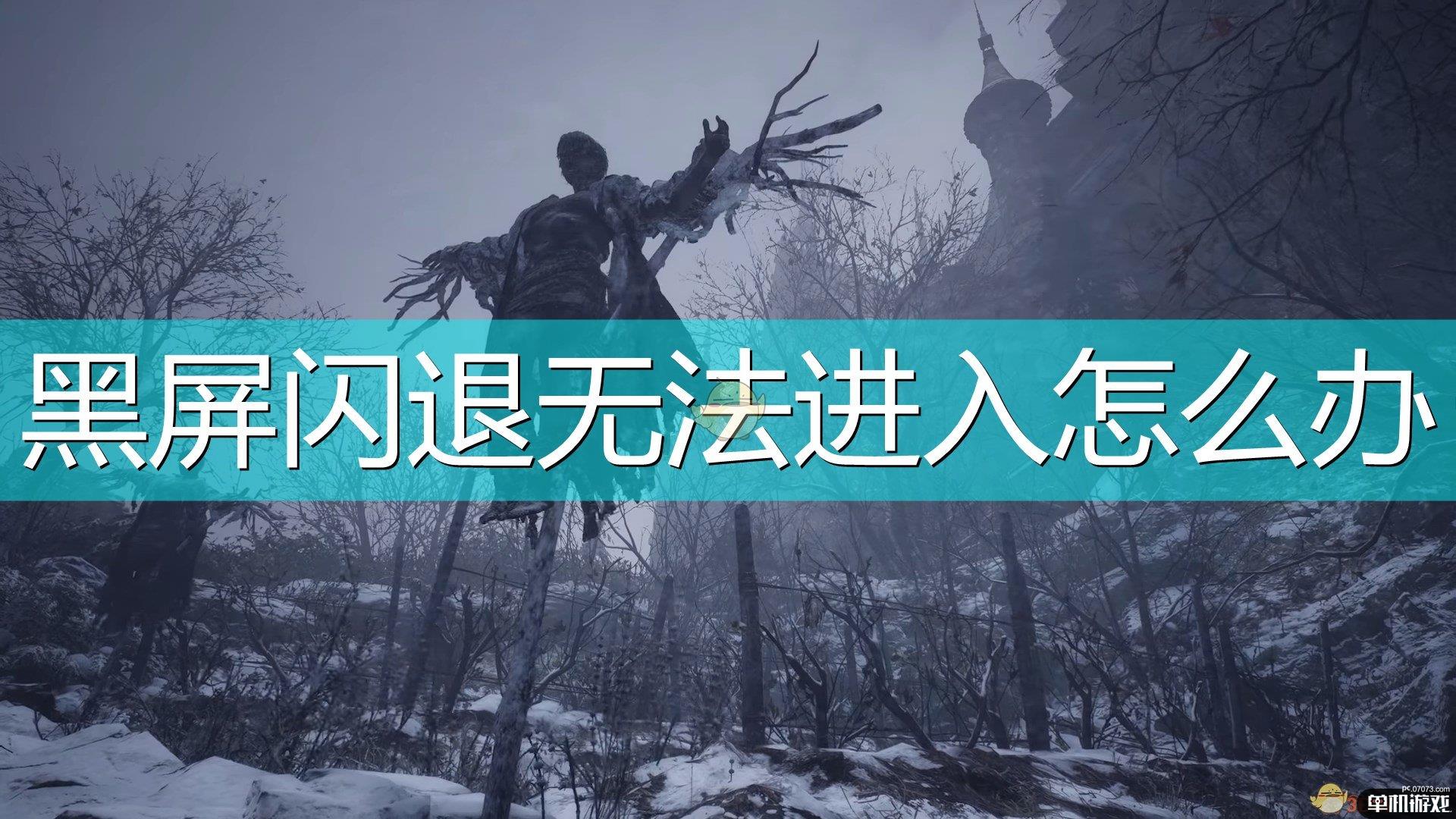 《生化危机8：村庄》无法进入游戏解决方法介绍