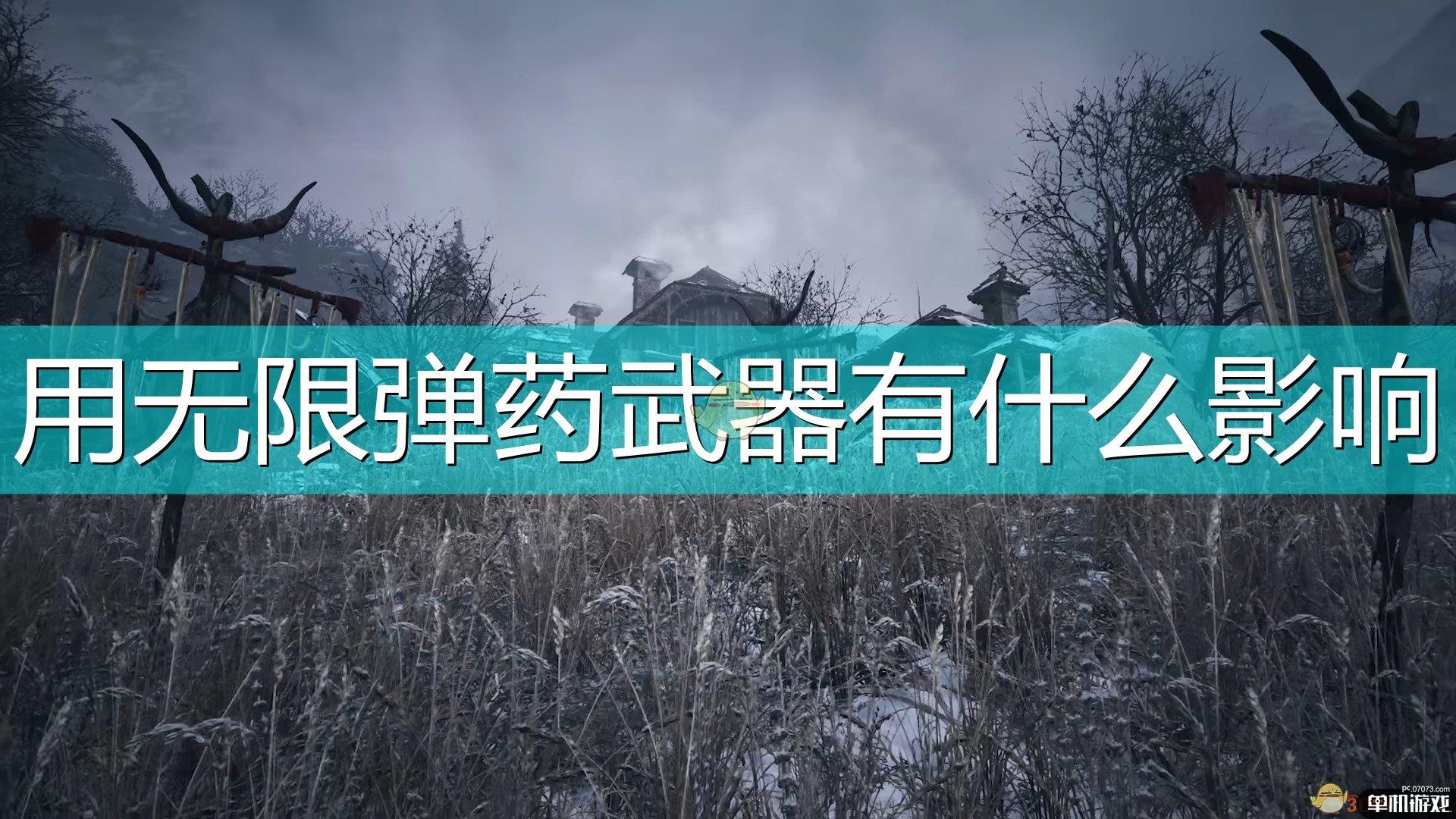 《生化危机8：村庄》无限弹药武器影响介绍