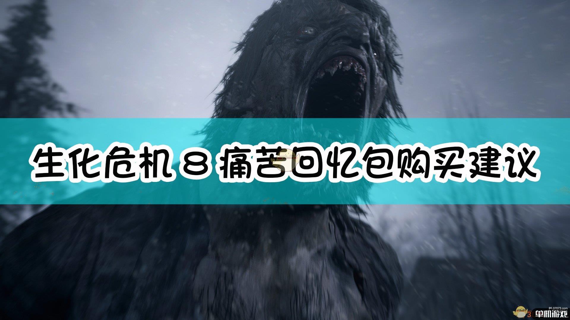 《生化危机8：村庄》痛苦回忆包购买建议