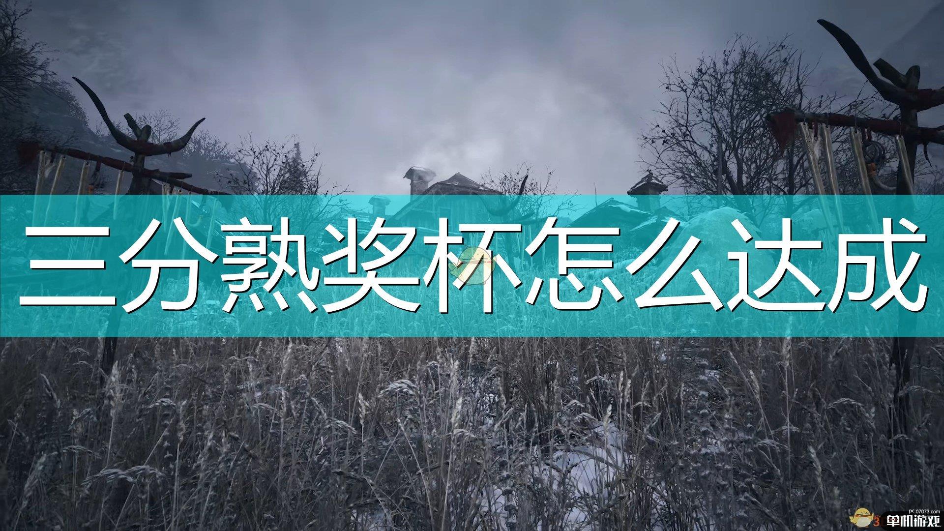 《生化危机8：村庄》三分熟奖杯达成心得分享