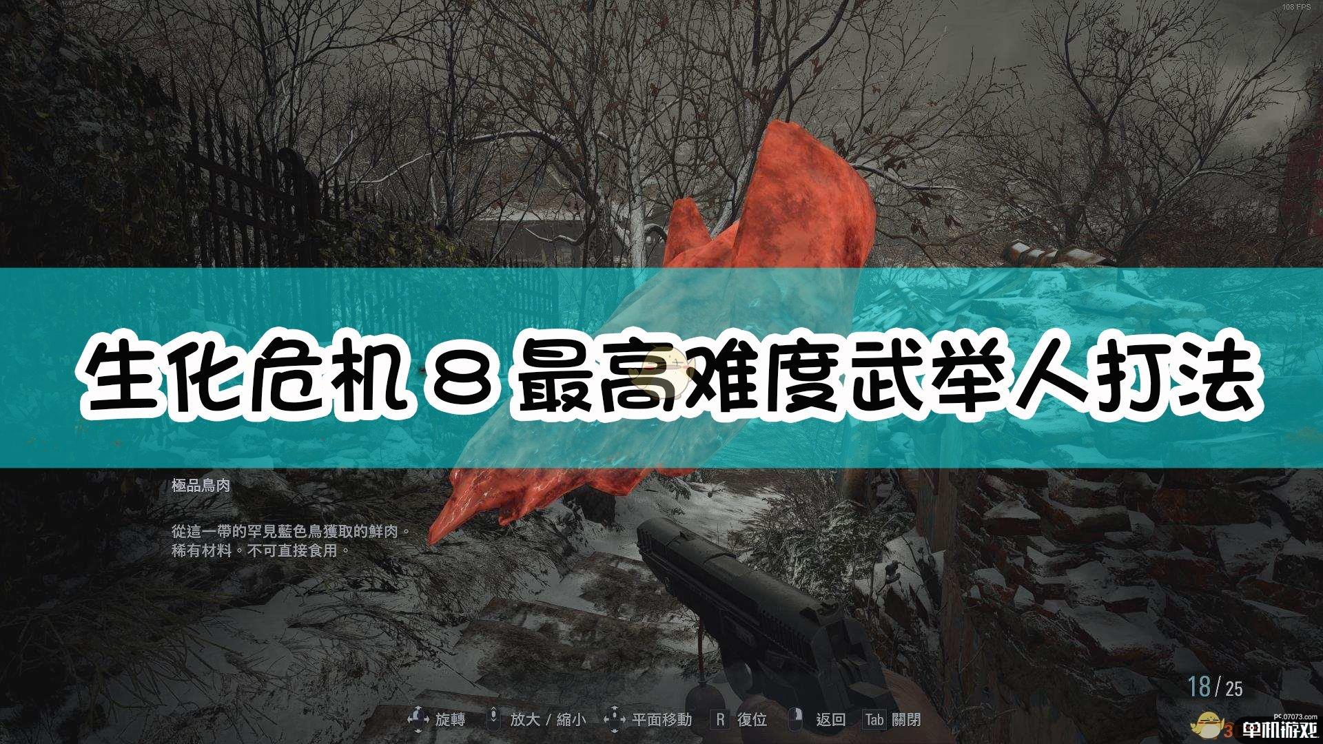 《生化危机8：村庄》最高难度武举人打法详解