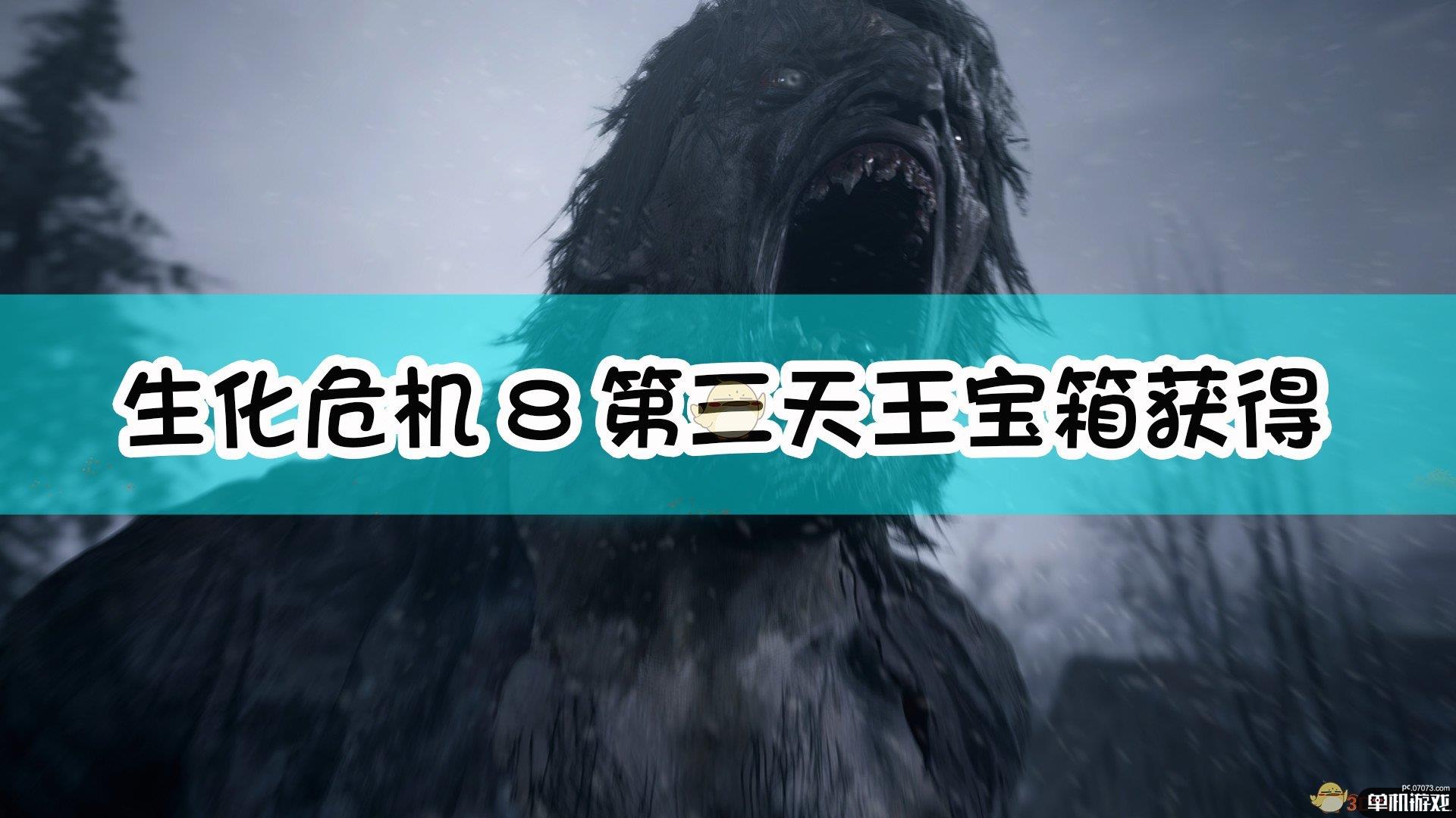 《生化危机8：村庄》第三天王宝箱获得方法介绍