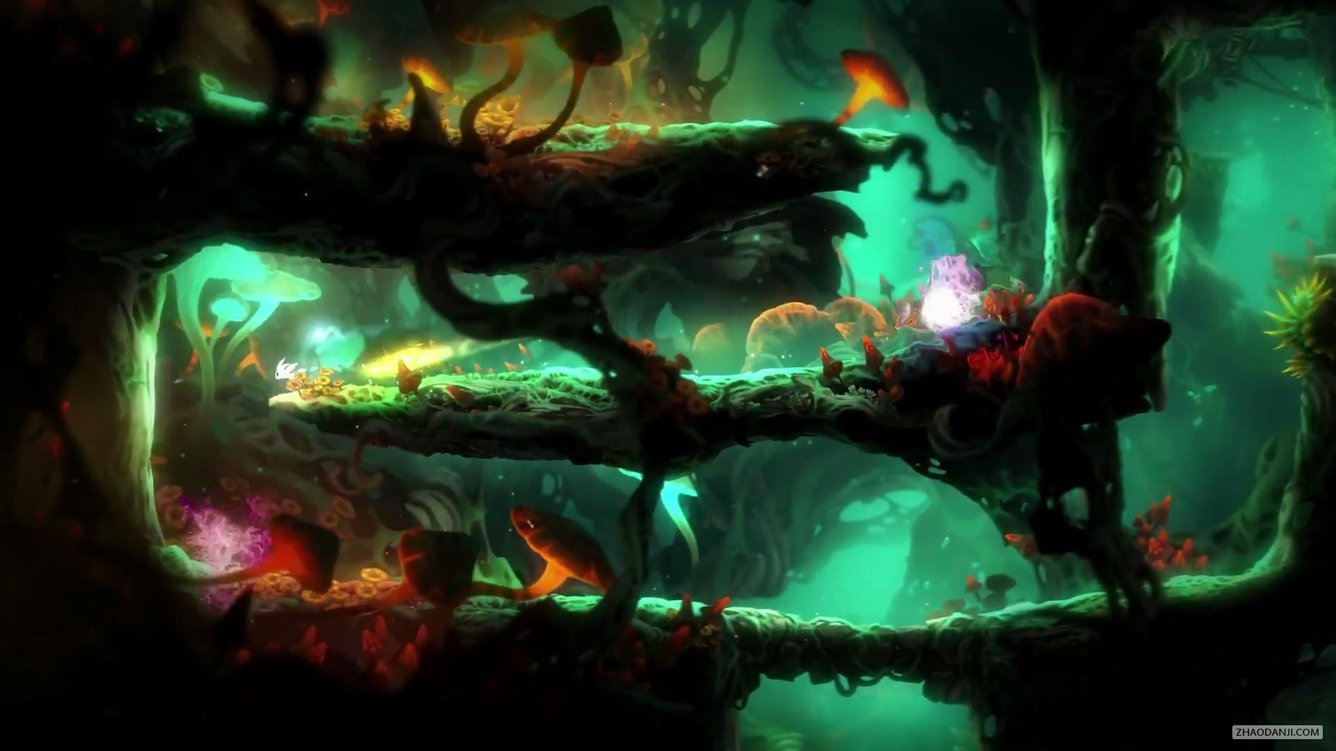 奥日与迷失森林终极版视频第四期流程攻略