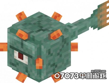64.jpg