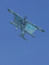 抢滩登陆2005