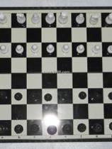 国际象棋5