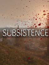 Subsistence
